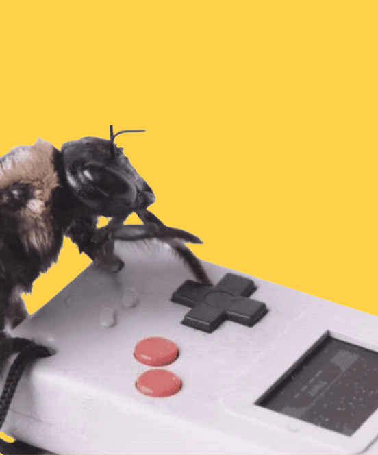 O menor videogame do mundo!